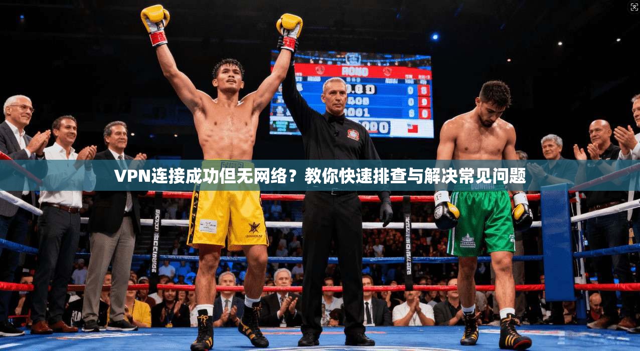 VPN连接成功但无网络？教你快速排查与解决常见问题