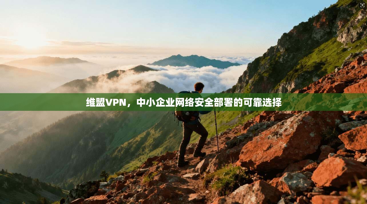 维盟VPN，中小企业网络安全部署的可靠选择
