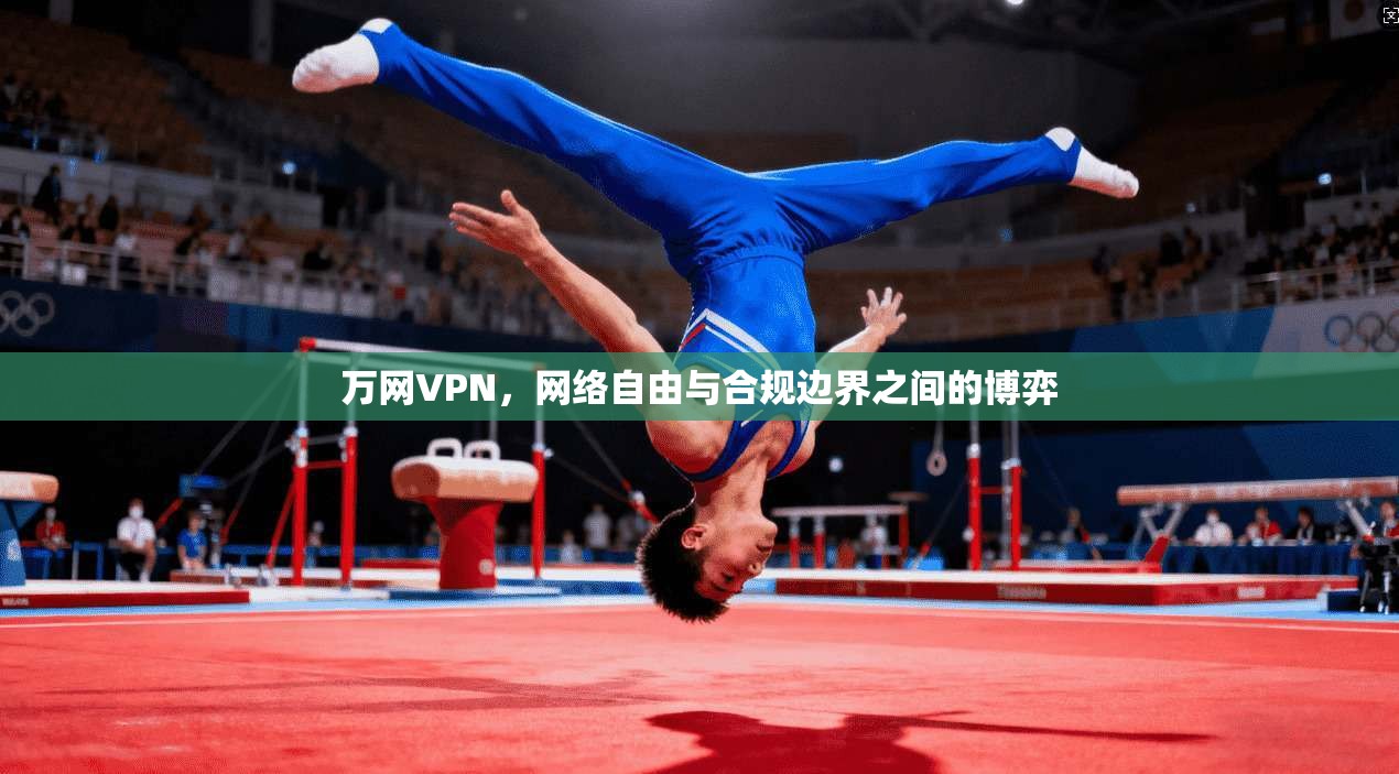 万网VPN，网络自由与合规边界之间的博弈