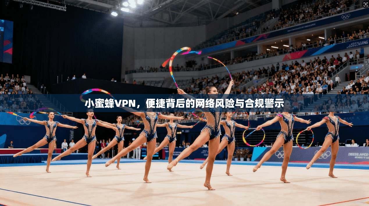小蜜蜂VPN，便捷背后的网络风险与合规警示