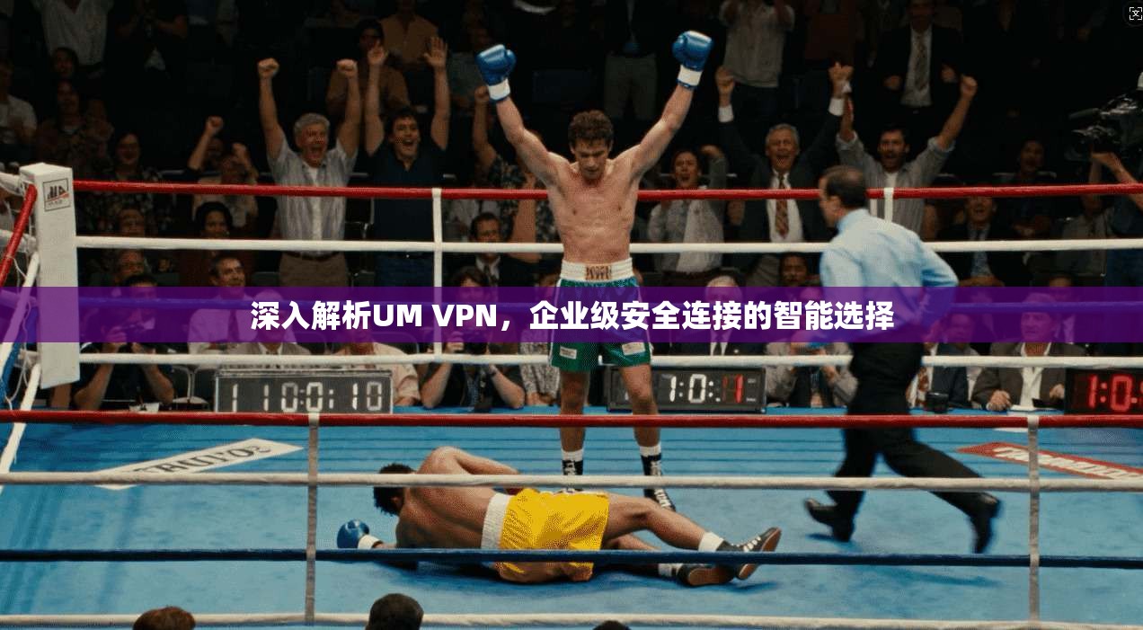 深入解析UM VPN，企业级安全连接的智能选择