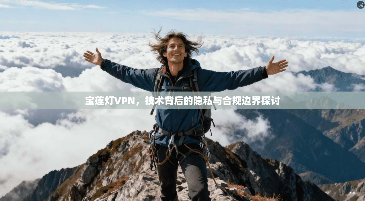 宝莲灯VPN，技术背后的隐私与合规边界探讨