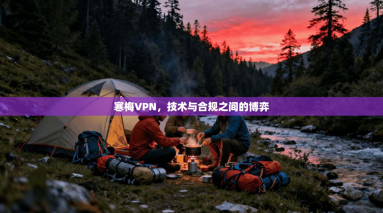 寒梅VPN，技术与合规之间的博弈