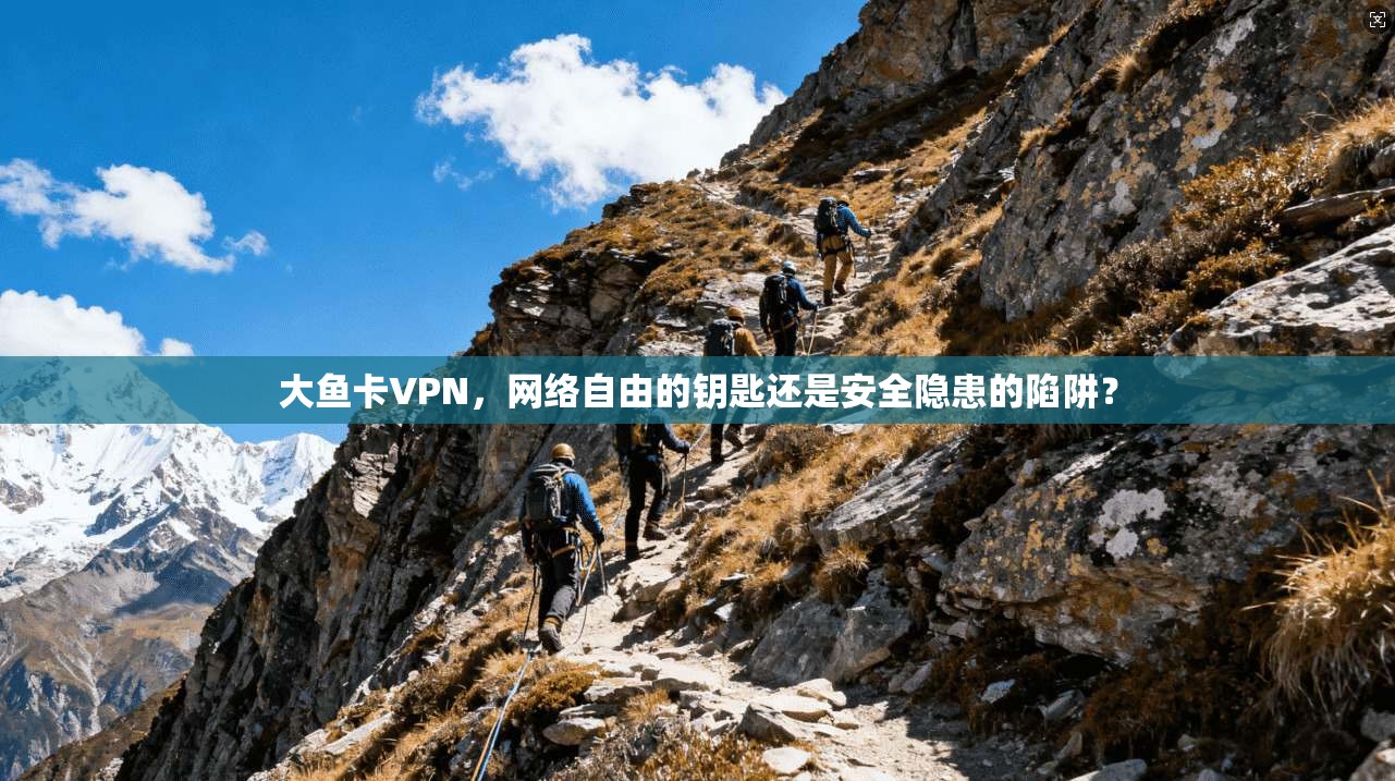 大鱼卡VPN，网络自由的钥匙还是安全隐患的陷阱？