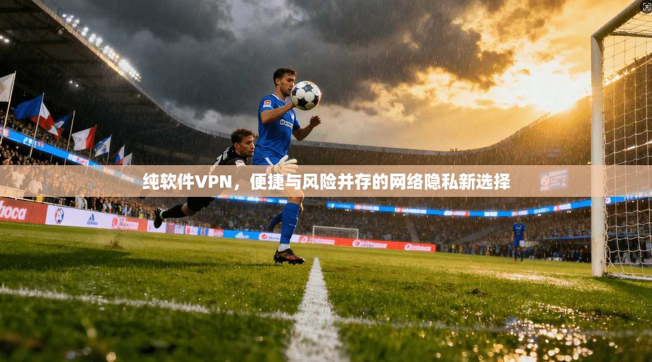 纯软件VPN,便捷与风险并存的网络隐私新选择 纯软件VPN,便捷与风险并存的网络隐私新选择