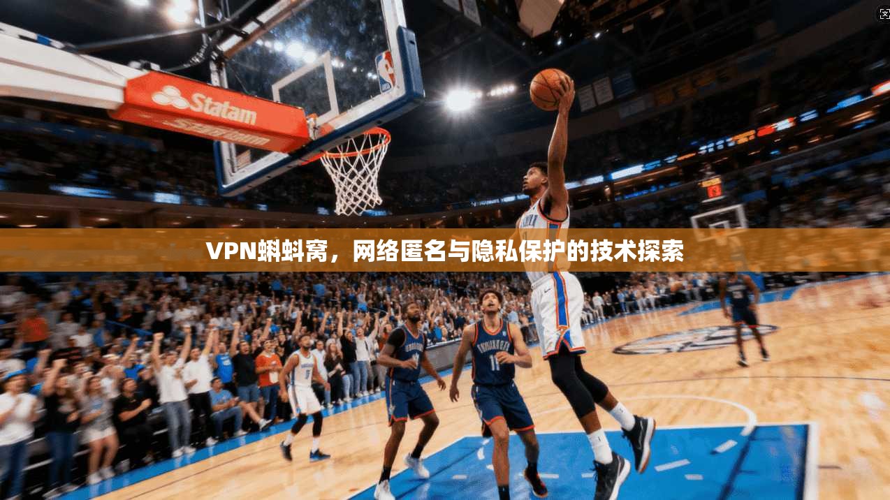 VPN蝌蚪窝，网络匿名与隐私保护的技术探索