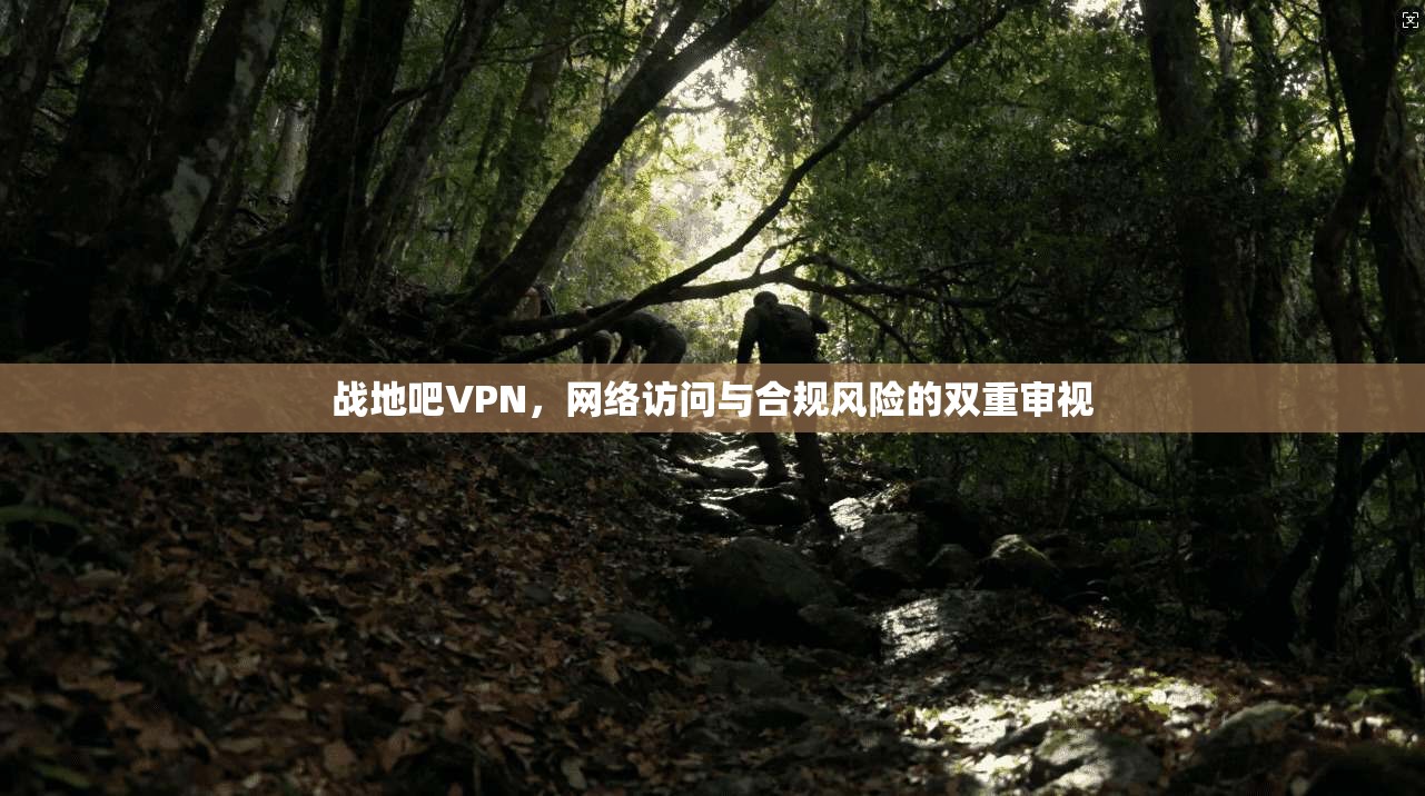 战地吧VPN，网络访问与合规风险的双重审视