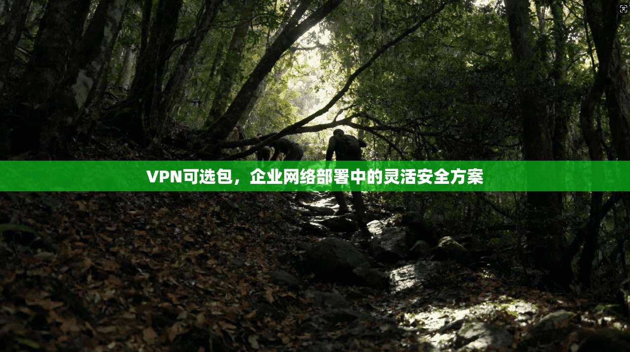 VPN可选包，企业网络部署中的灵活安全方案