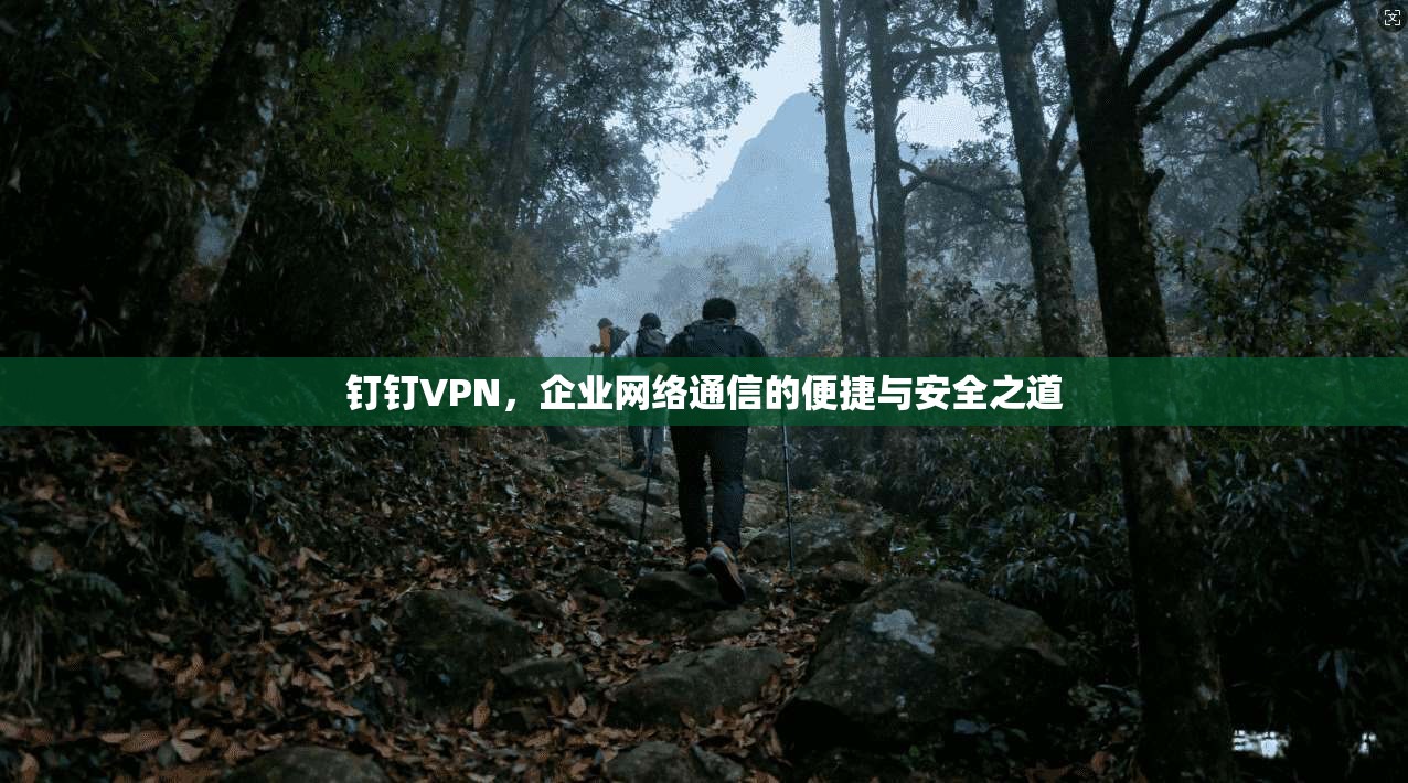 钉钉VPN，企业网络通信的便捷与安全之道