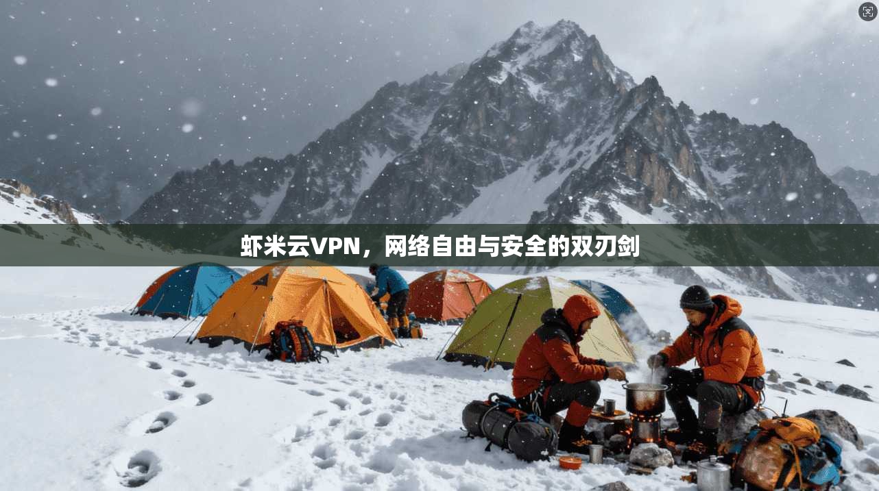 虾米云VPN，网络自由与安全的双刃剑