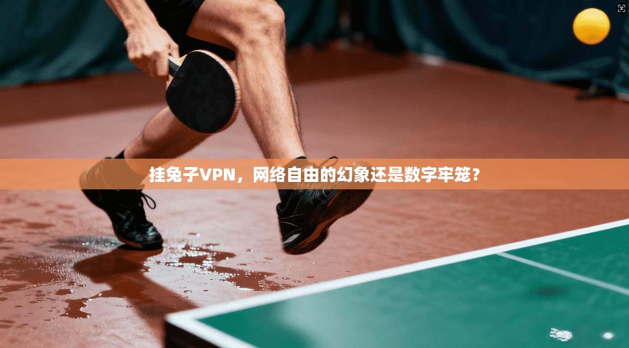 挂兔子VPN，网络自由的幻象还是数字牢笼？