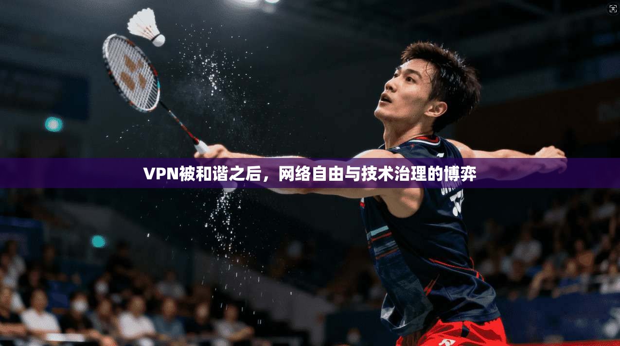 VPN被和谐之后，网络自由与技术治理的博弈