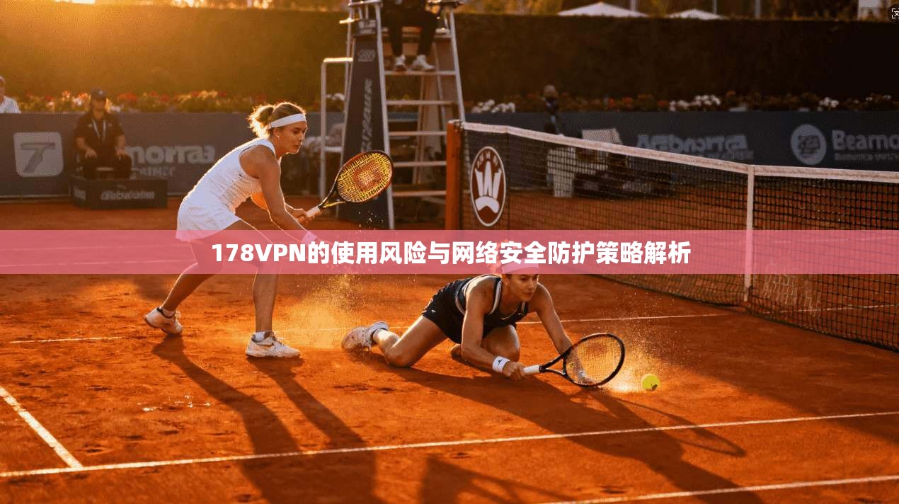 178VPN的使用风险与网络安全防护策略解析