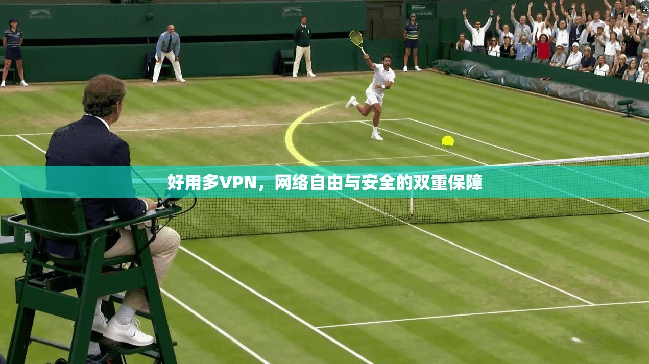 好用多VPN，网络自由与安全的双重保障