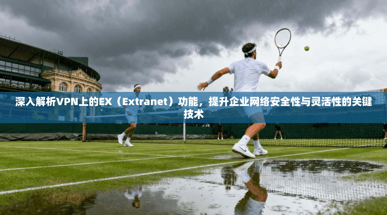 深入解析VPN上的EX（Extranet）功能，提升企业网络安全性与灵活性的关键技术