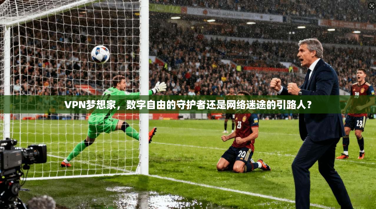 VPN梦想家，数字自由的守护者还是网络迷途的引路人？