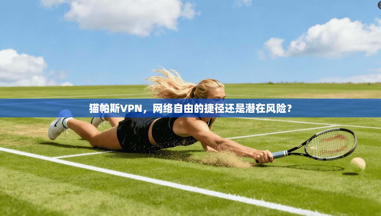猫帕斯VPN，网络自由的捷径还是潜在风险？