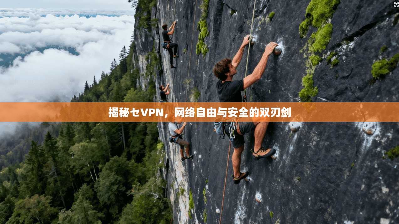 揭秘セVPN，网络自由与安全的双刃剑