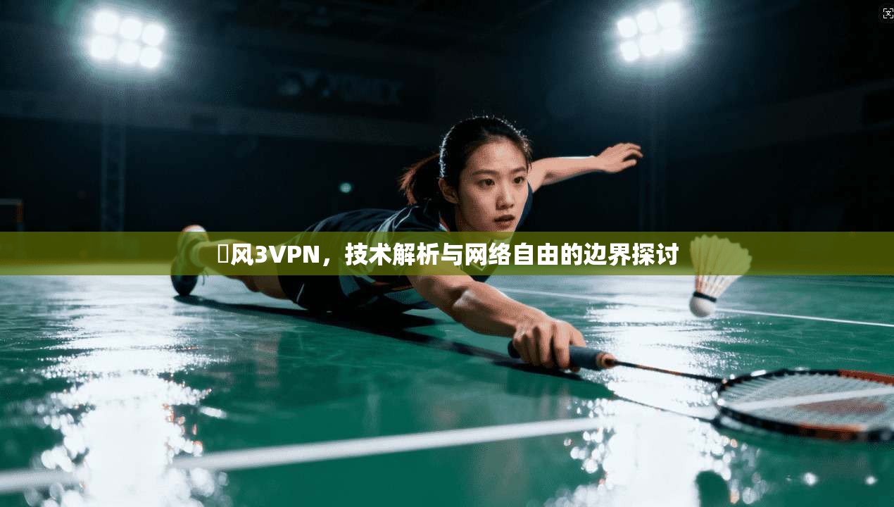 賽风3VPN，技术解析与网络自由的边界探讨
