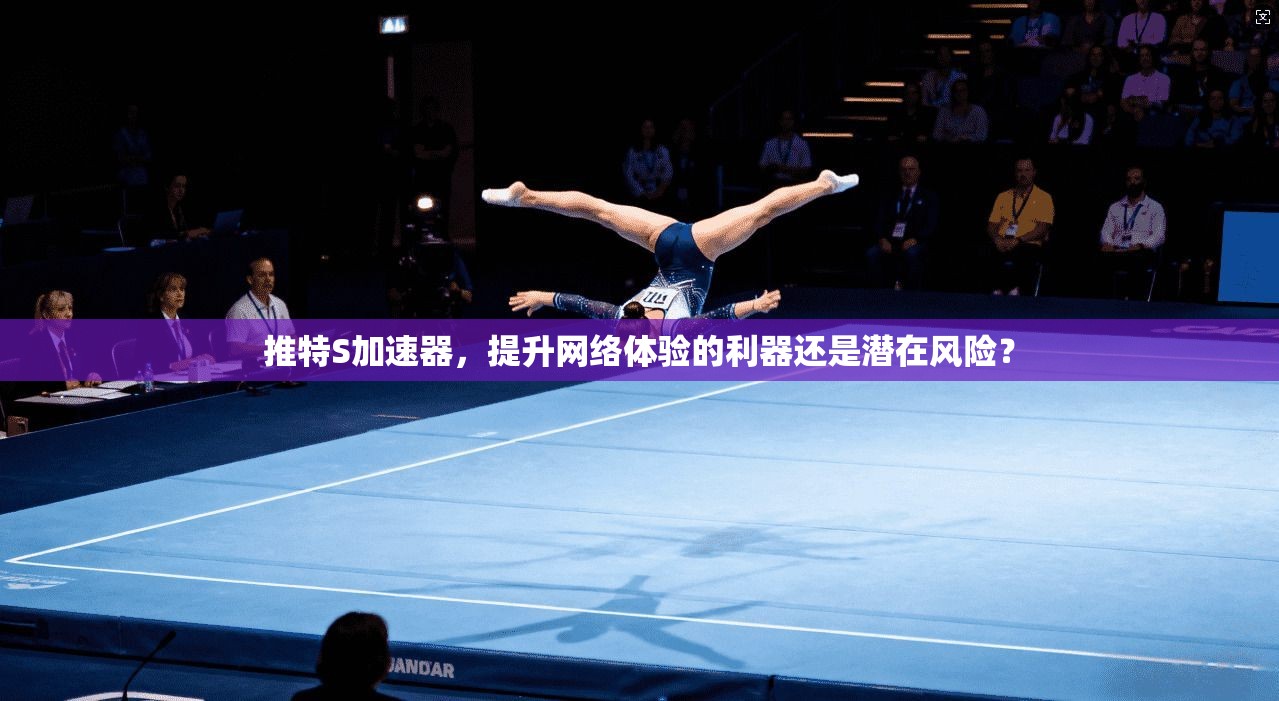 推特S加速器,提升网络体验的利器还是潜在风险?