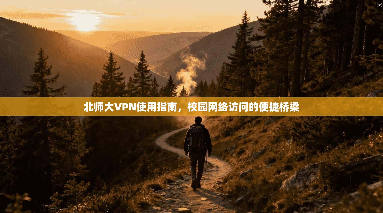 北师大VPN使用指南，校园网络访问的便捷桥梁