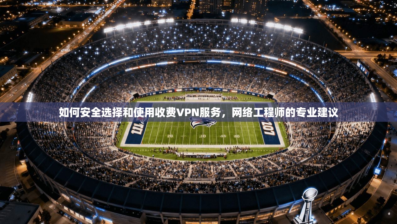如何安全选择和使用收费VPN服务，网络工程师的专业建议