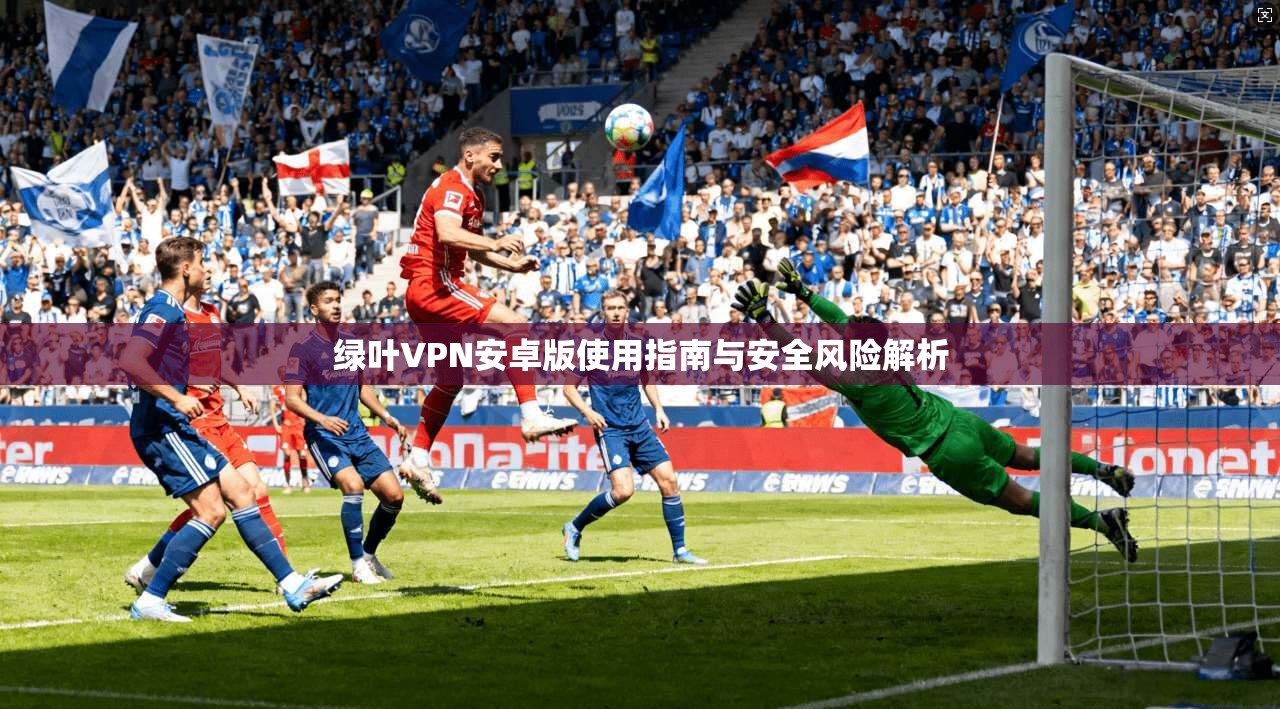 绿叶VPN安卓版使用指南与安全风险解析