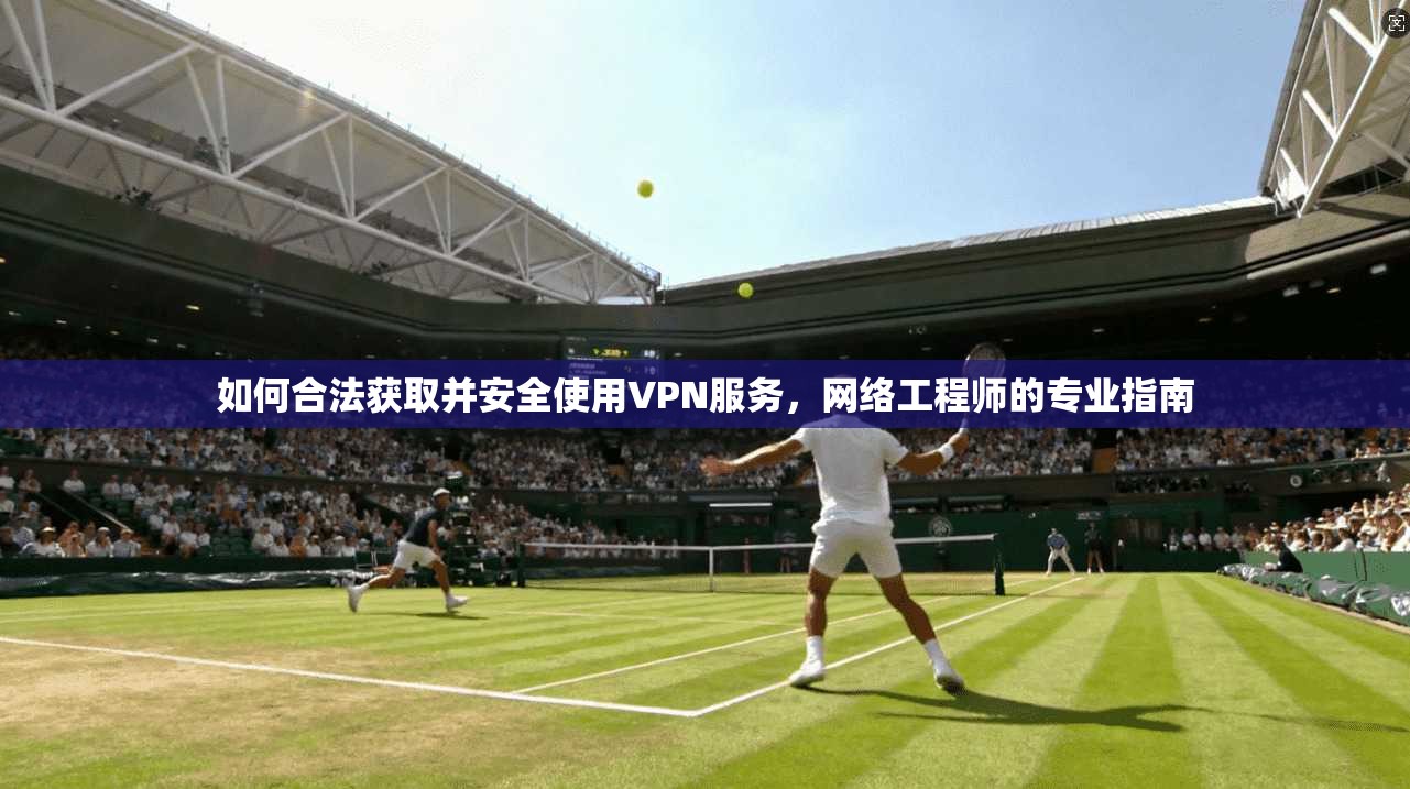 如何合法获取并安全使用VPN服务,网络工程师的专业指南