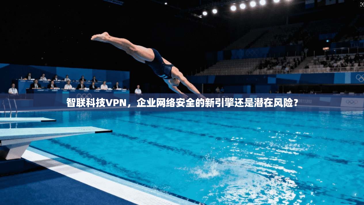 智联科技VPN，企业网络安全的新引擎还是潜在风险？