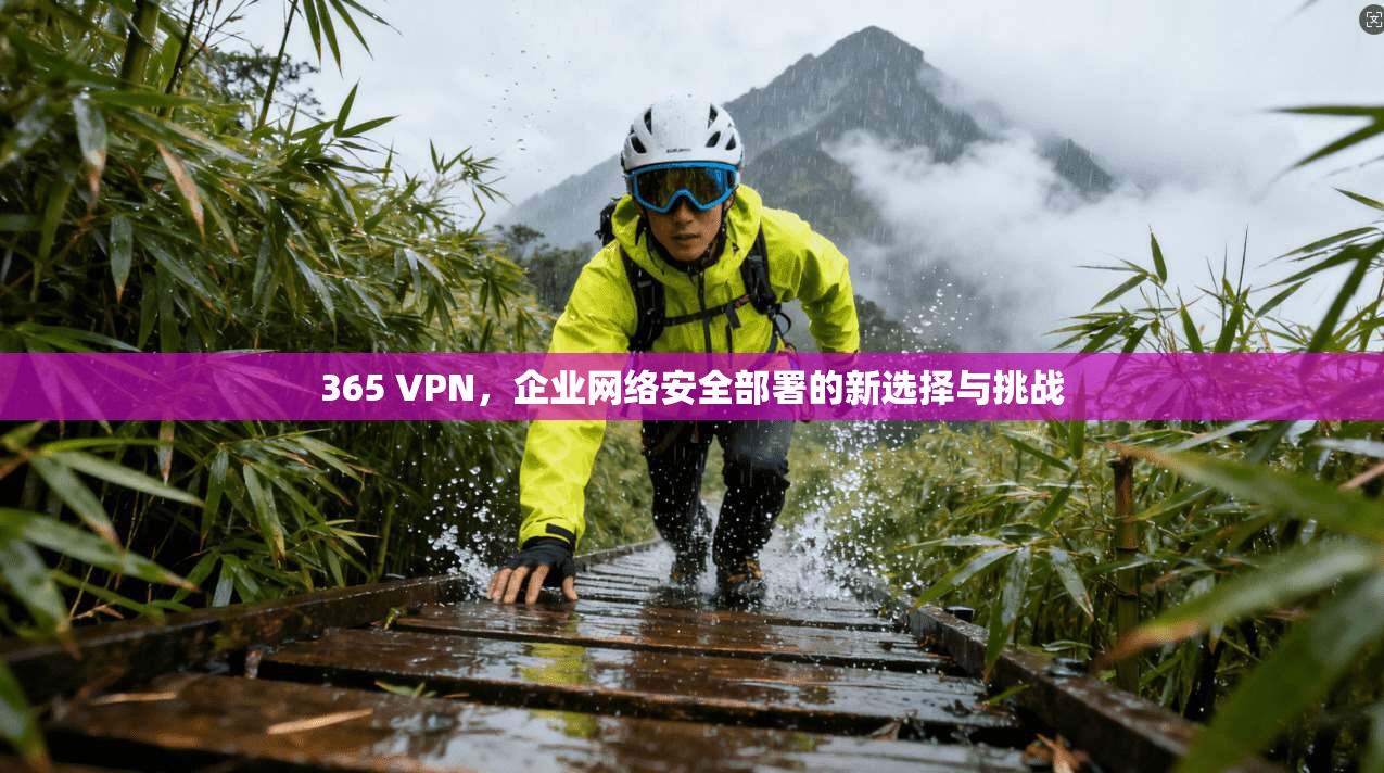 365 VPN,企业网络安全部署的新选择与挑战