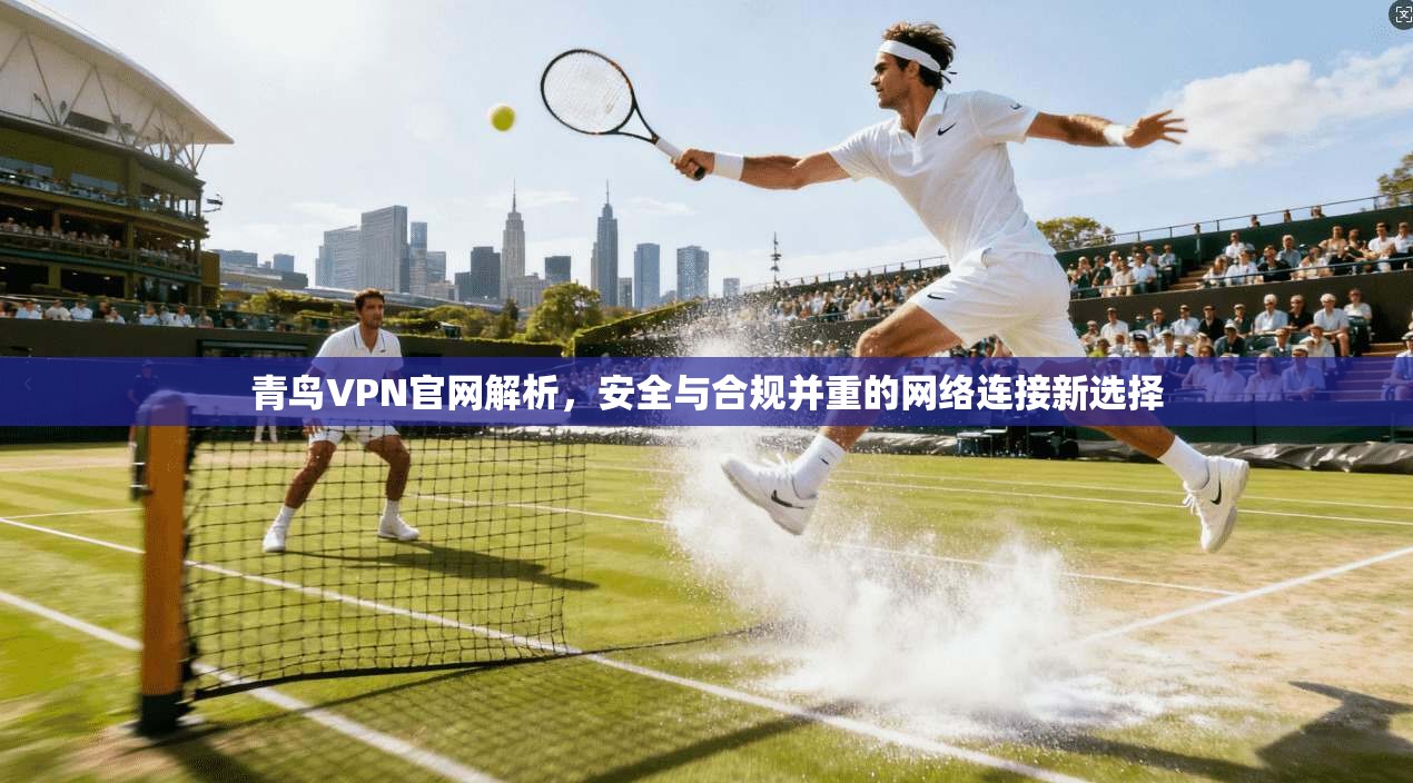 青鸟VPN官网解析,安全与合规并重的网络连接新选择