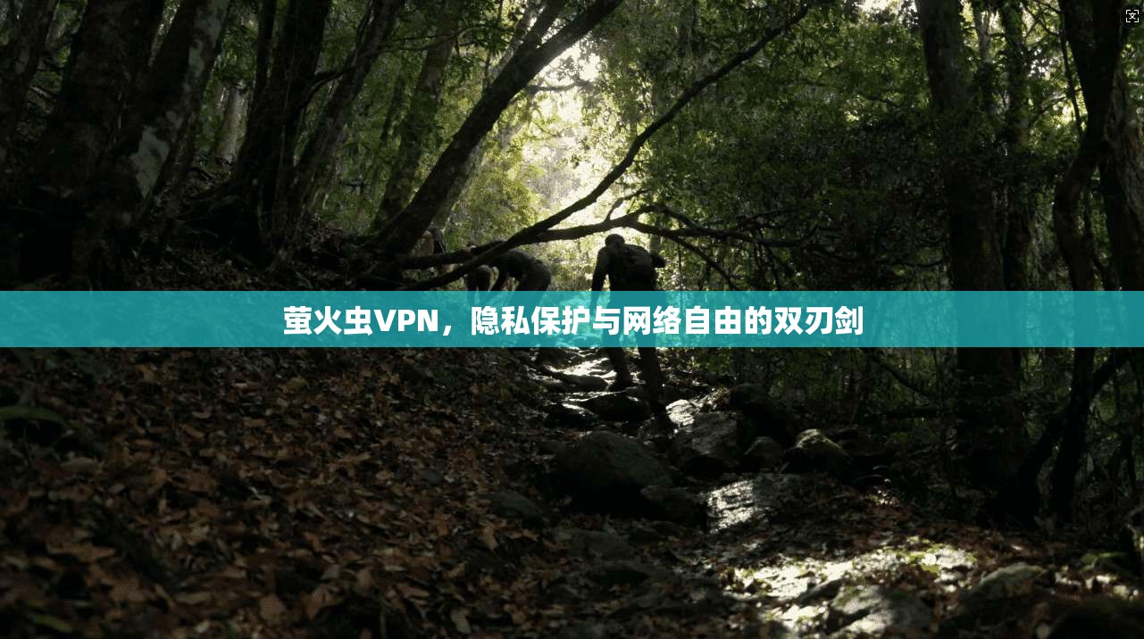 萤火虫VPN，隐私保护与网络自由的双刃剑