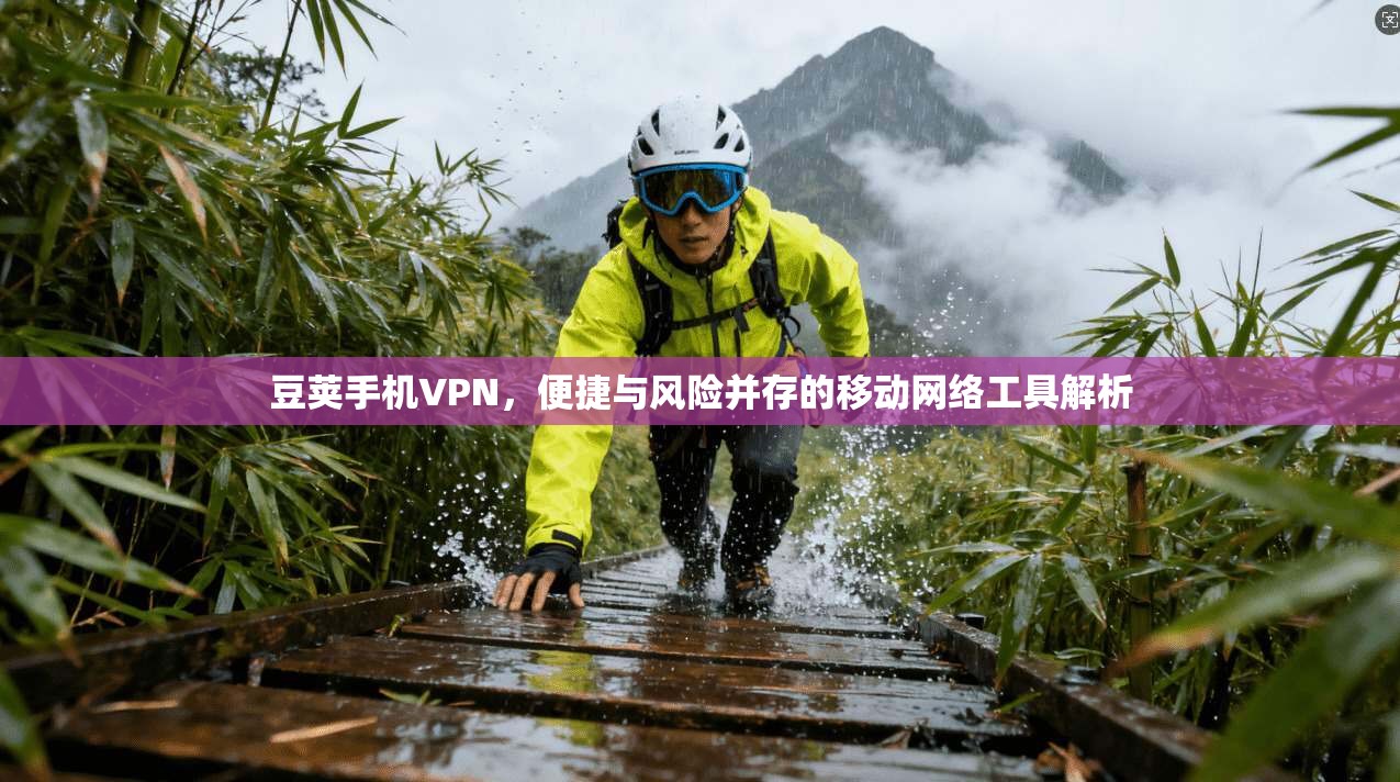 豆荚手机VPN，便捷与风险并存的移动网络工具解析