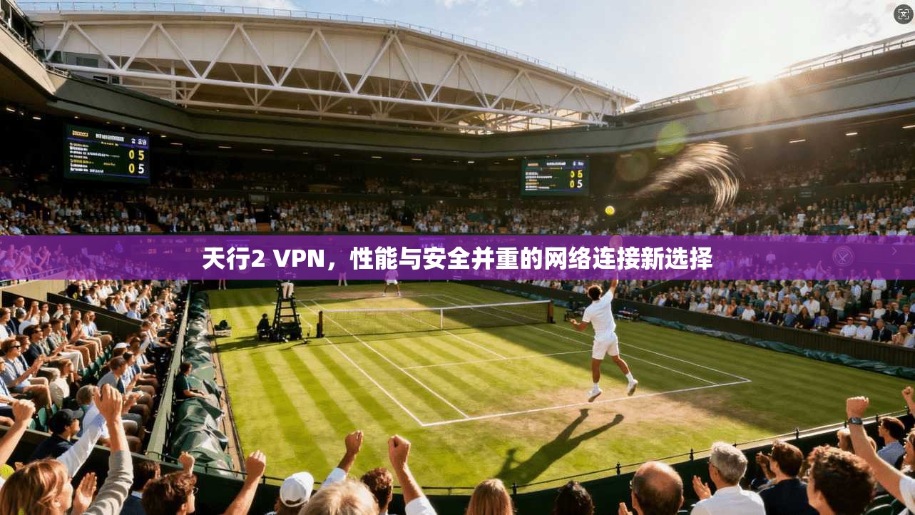天行2 VPN,性能与安全并重的网络连接新选择