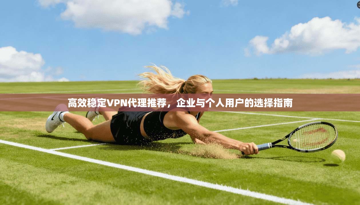 高效稳定VPN代理推荐,企业与个人用户的选择指南