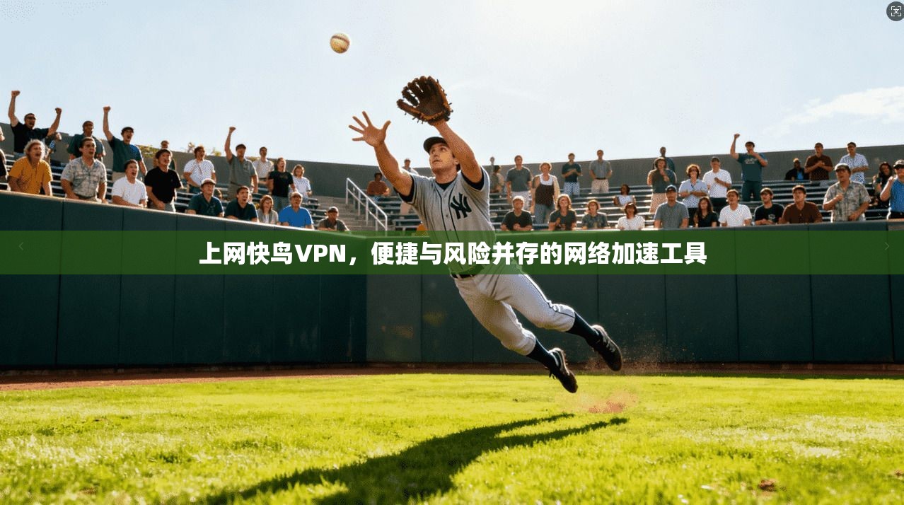 上网快鸟VPN，便捷与风险并存的网络加速工具