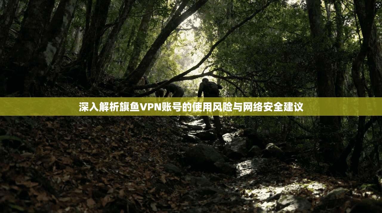深入解析旗鱼VPN账号的使用风险与网络安全建议