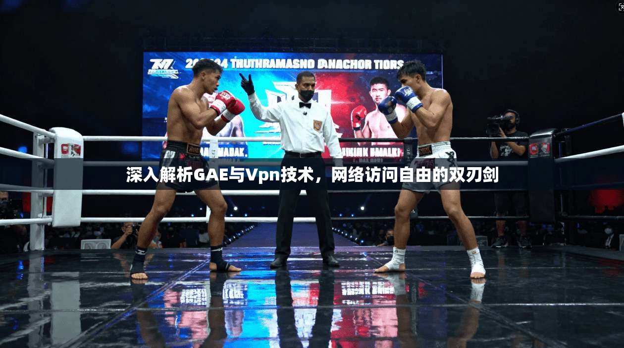 深入解析GAE与Vpn技术，网络访问自由的双刃剑