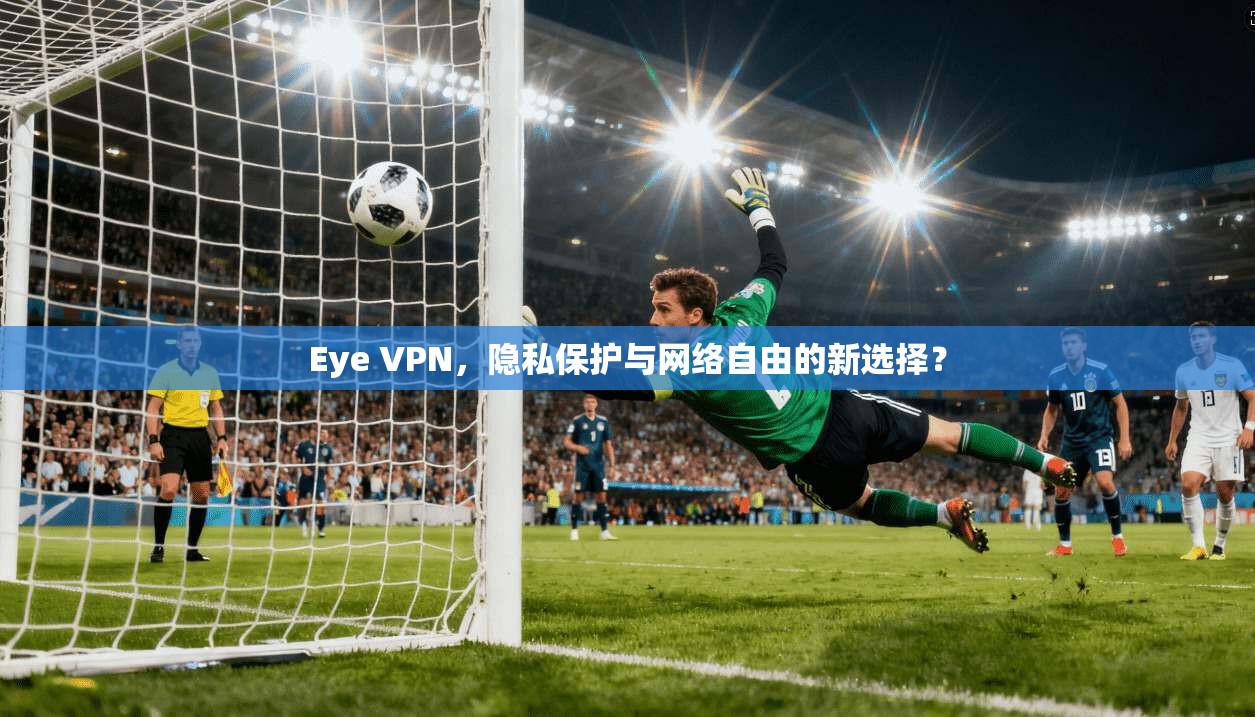 Eye VPN，隐私保护与网络自由的新选择？