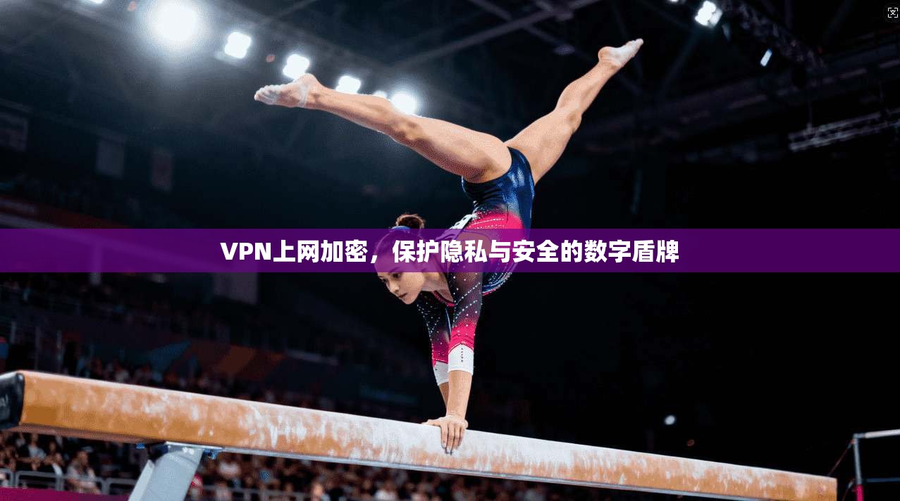 VPN上网加密,保护隐私与安全的数字盾牌 VPN上网加密,保护隐私与安全的数字盾牌