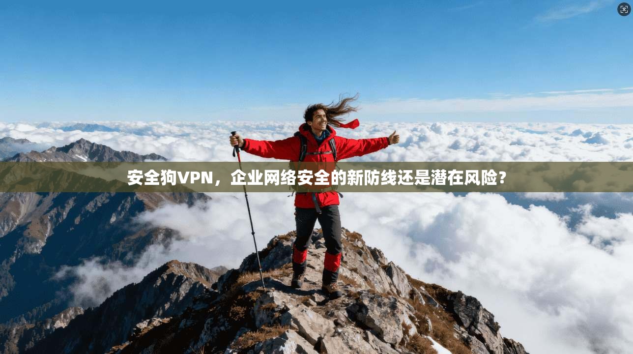 安全狗VPN，企业网络安全的新防线还是潜在风险？