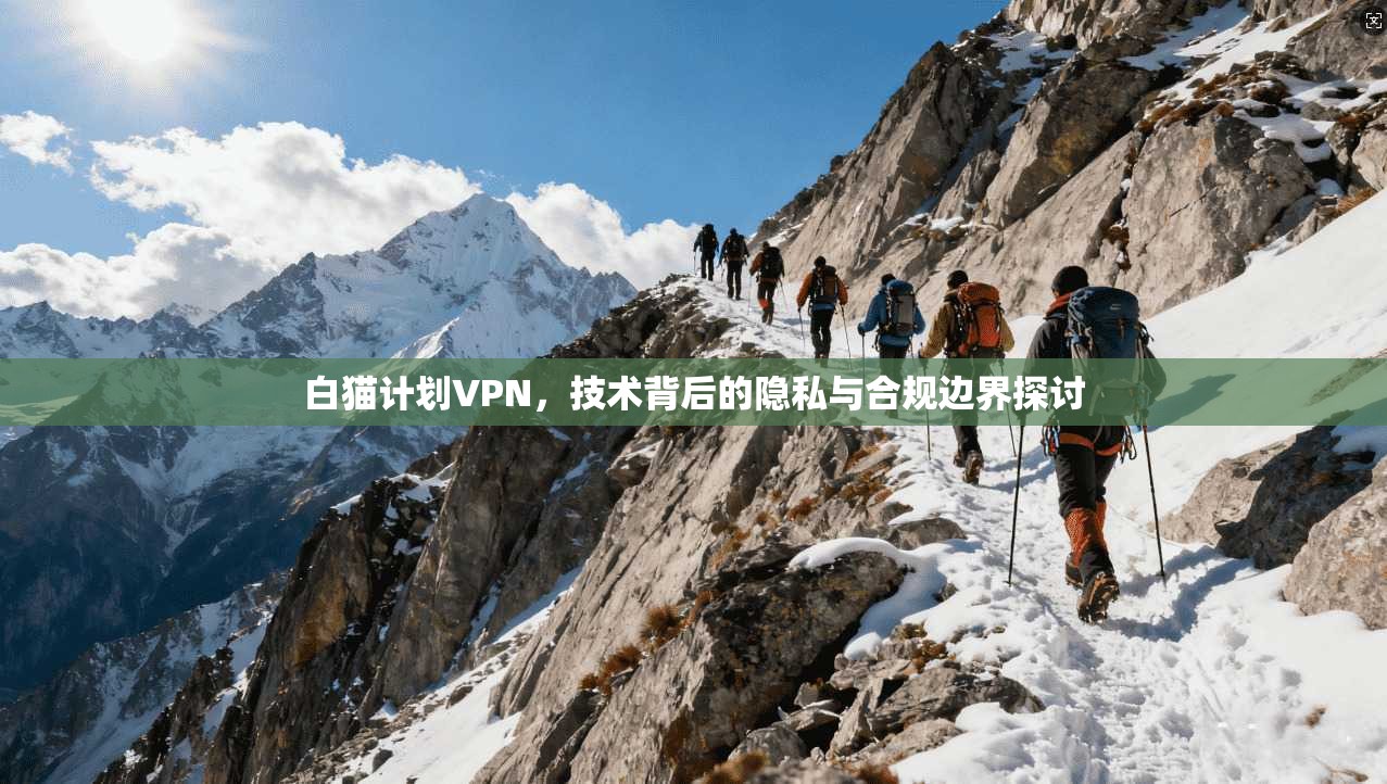 白猫计划VPN，技术背后的隐私与合规边界探讨