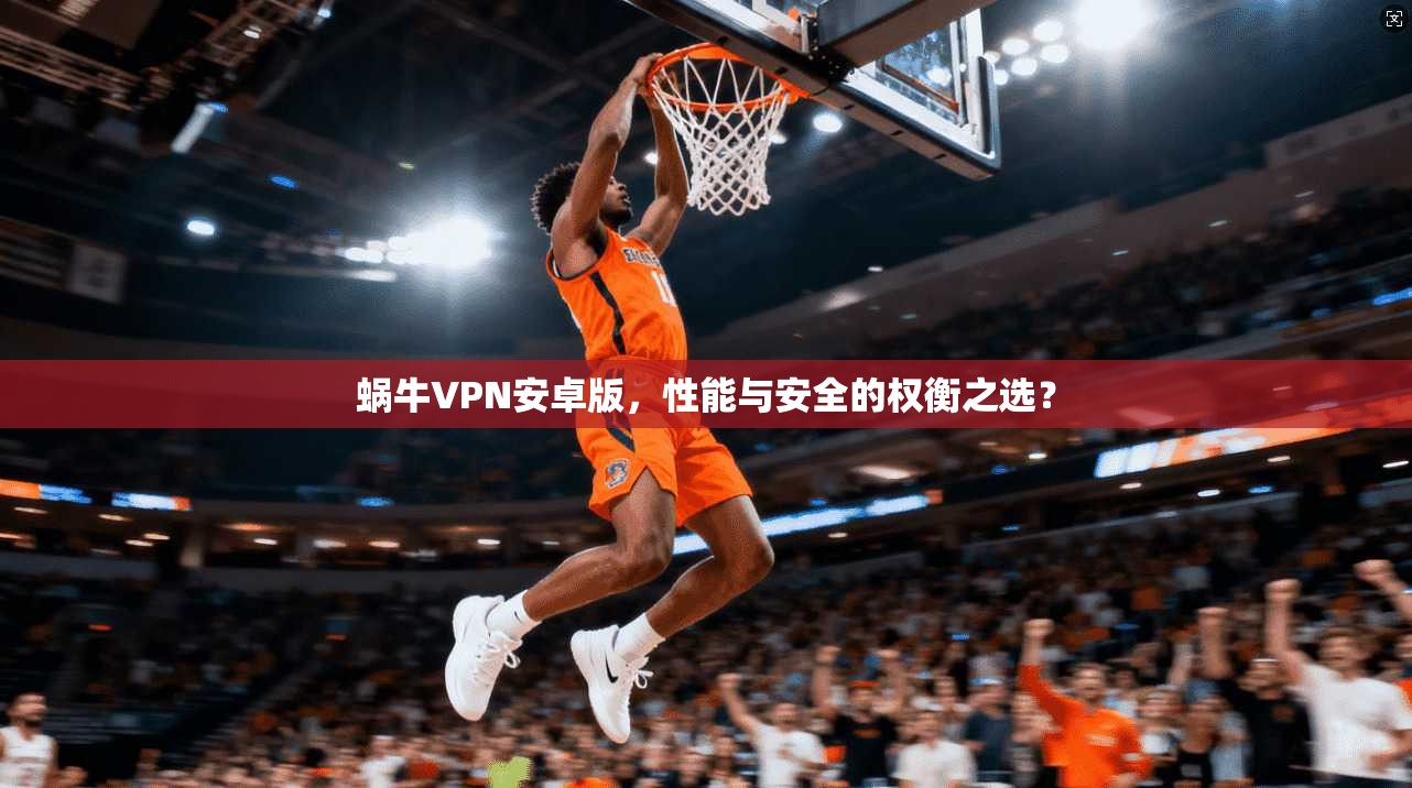 蜗牛VPN安卓版，性能与安全的权衡之选？