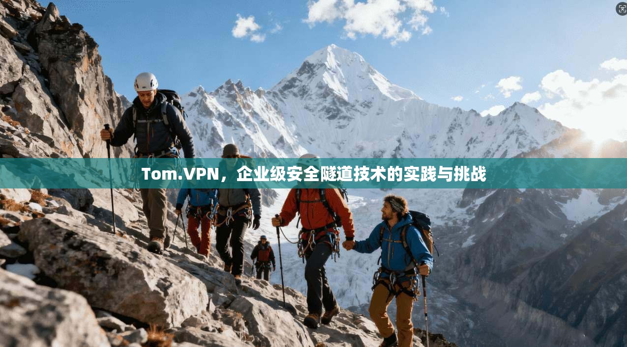 Tom.VPN，企业级安全隧道技术的实践与挑战