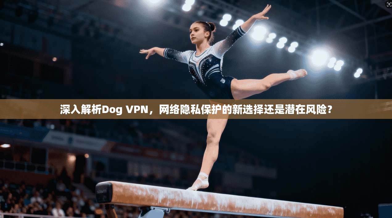 深入解析Dog VPN，网络隐私保护的新选择还是潜在风险？