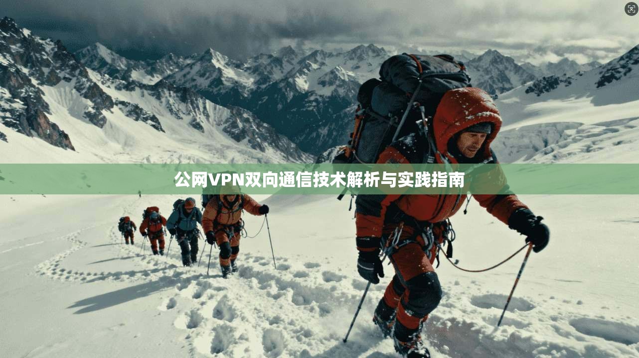 公网VPN双向通信技术解析与实践指南