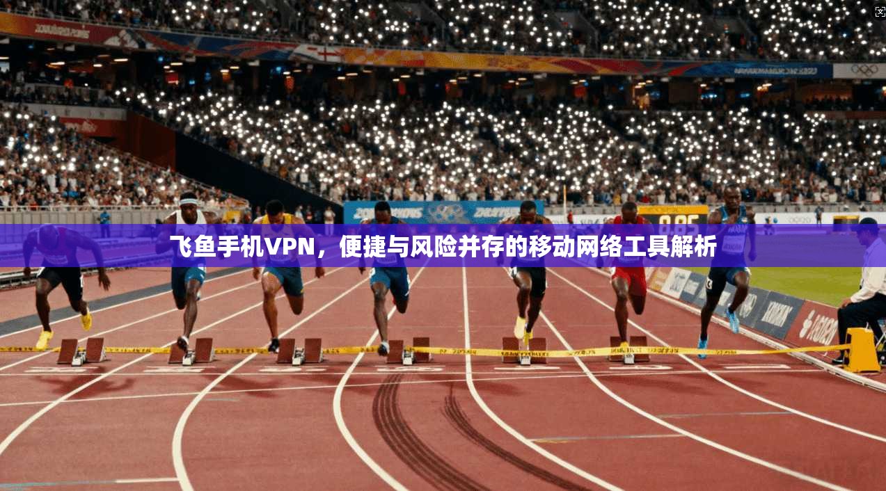 飞鱼手机VPN，便捷与风险并存的移动网络工具解析