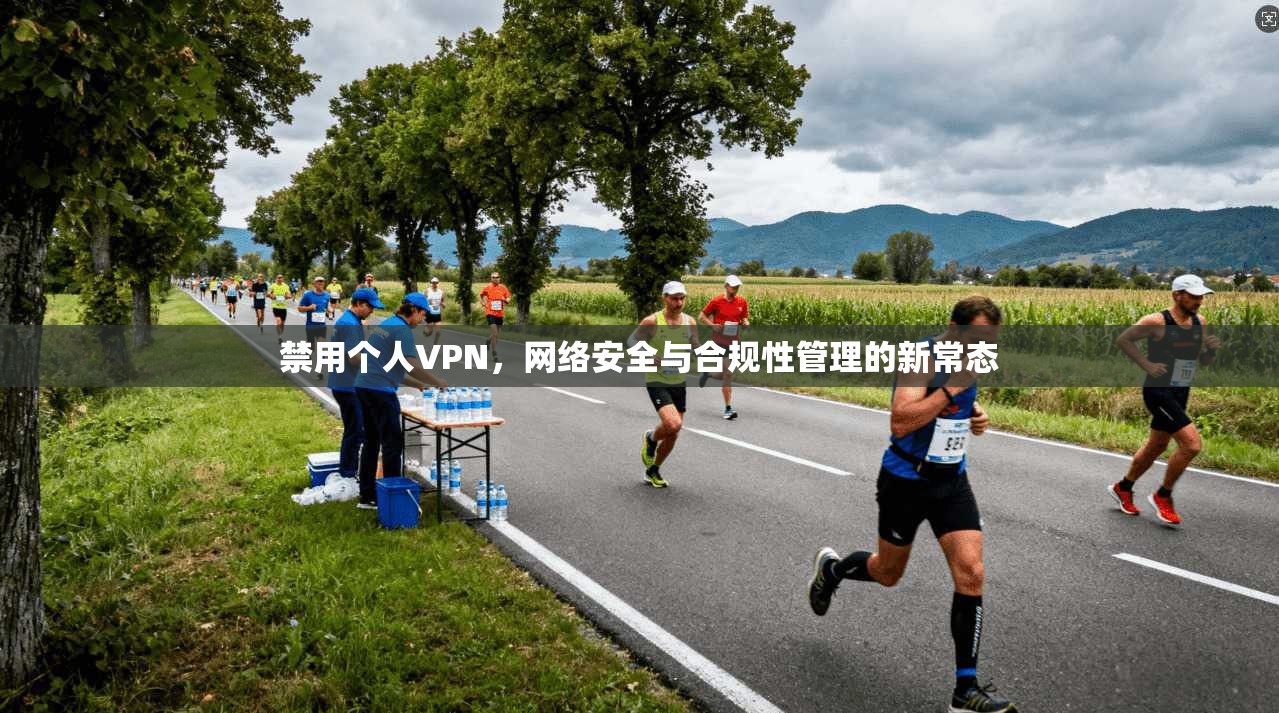 禁用个人VPN,网络安全与合规性管理的新常态 禁用个人VPN,网络安全与合规性管理的新常态
