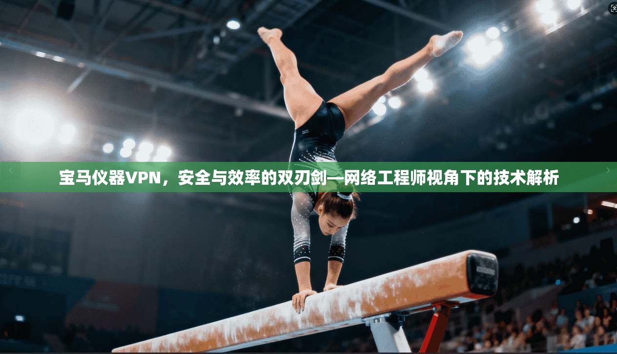 宝马仪器VPN，安全与效率的双刃剑—网络工程师视角下的技术解析