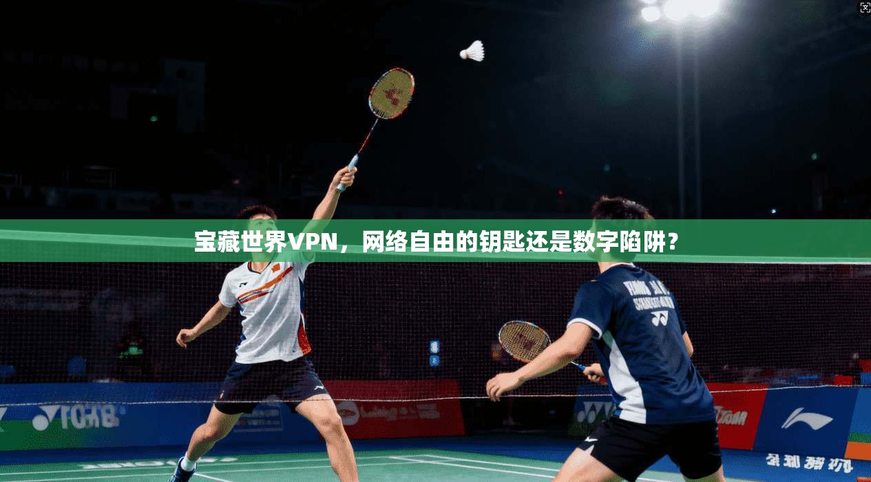 宝藏世界VPN，网络自由的钥匙还是数字陷阱？